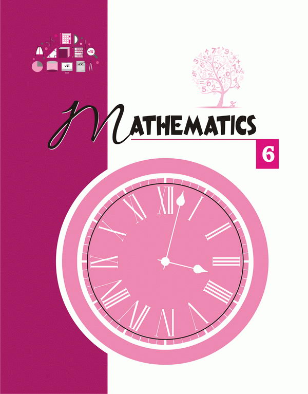 NEXT LEVEL MATHMATICS-6